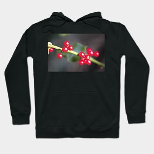 holly berry macro Hoodie